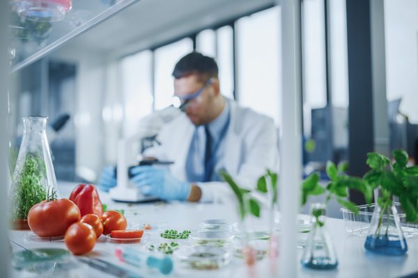 L’Atelier Alimentare di MedicAir ospita due aziende del settore Food